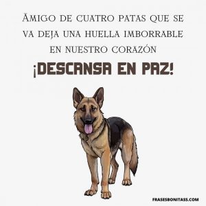 Frases Para Un Perro Fallecido Con Mensajes De Despedida